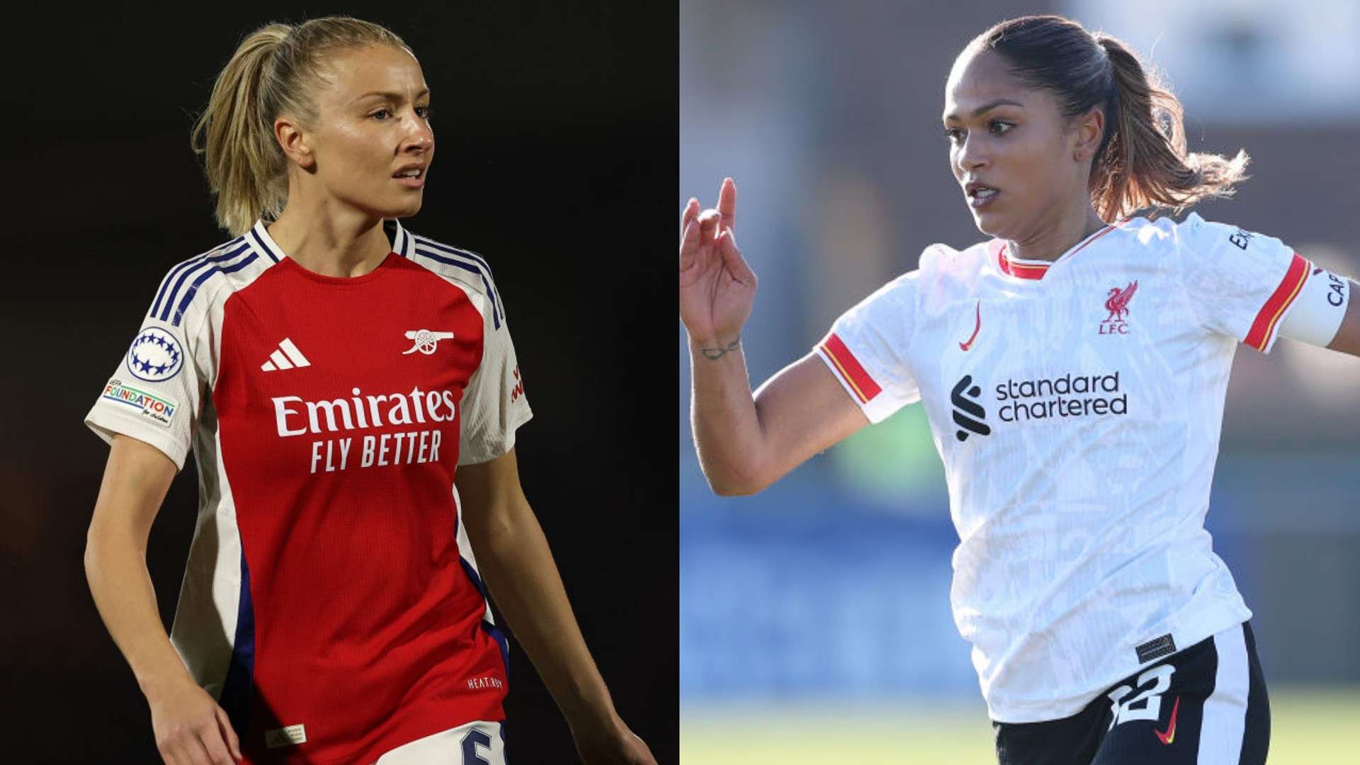 线和网前截 线和网前截